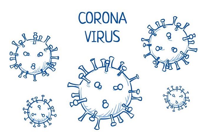 Corona Virus. (sumber: ist/blogsantri)