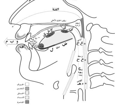 Diagram Makhraj Huruf